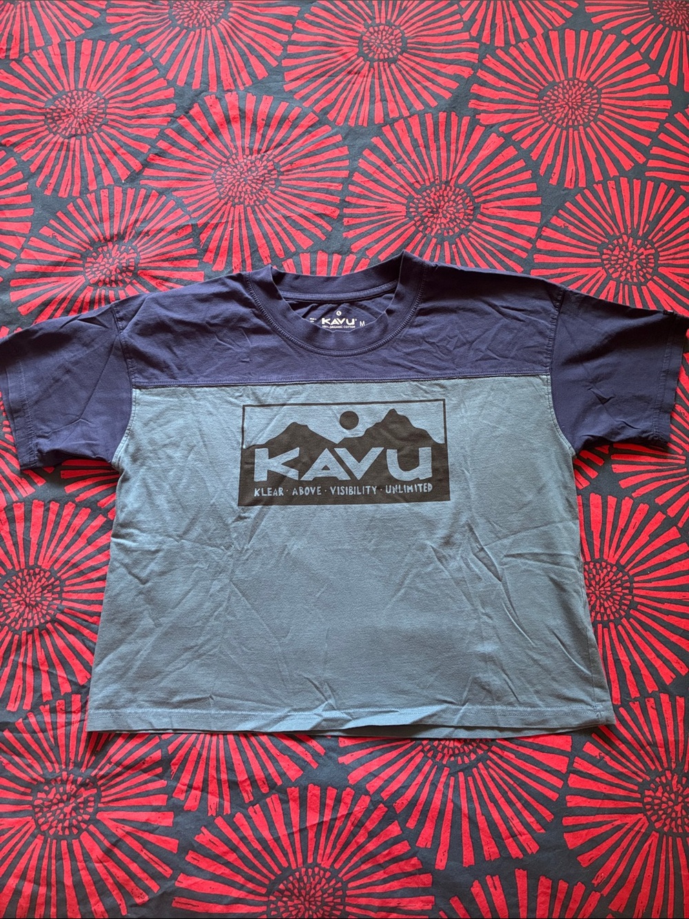 Kavu Navy and Light Blue Colorblock Logo Crop Top